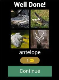 Guess The Different Animals Screen Shot 4