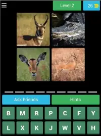 Guess The Different Animals Screen Shot 3