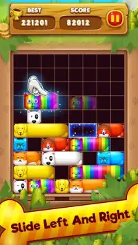 Pet Slider Block Puzzle Screen Shot 3
