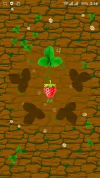 Strawberry Farm Screen Shot 19