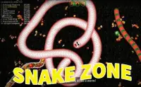 Snake Zone : Worm.io Screen Shot 0