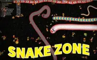 Snake Zone : Worm.io Screen Shot 2