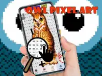 Owl Color By Number - Pixel Art Screen Shot 7