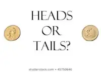 Heads or Tails Screen Shot 0