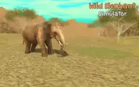 Wild Elephant Sim 3D Screen Shot 8
