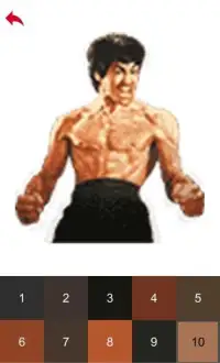 Bruce Lee Color by Number - Pixel Art Game Screen Shot 4