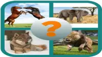 A picture puzzle game : animals 2020 Screen Shot 4