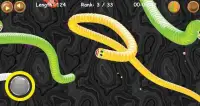 Snake Zone: Worm Zone Crawl - Cacing 2020 Screen Shot 3