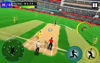IPL Cricket Game 2020 - New Cricket League Games Screen Shot 4