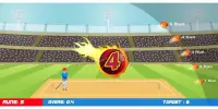 Box Cricket 2D : Cricket Game Screen Shot 1