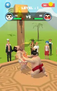 Sumo fight Screen Shot 4