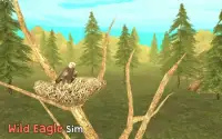 Wild Eagle Sim 3D Screen Shot 9