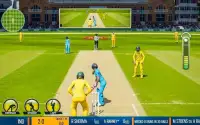 सीडब्ल्यूसी 2020; असली क्रिकेट खेल Screen Shot 0