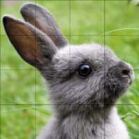 Tile Puzzles · Rabbits
