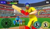 IPL Cricket Game 2020 - New Cricket League Games Screen Shot 0