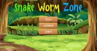 Snake Zone: Worm Zone Crawl - Cacing 2020 Screen Shot 8