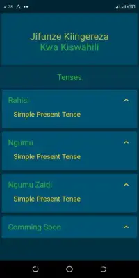 Jifunze Kiingereza, Tenses practice, and Grammar Screen Shot 7