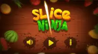 Slice Ninja Screen Shot 6