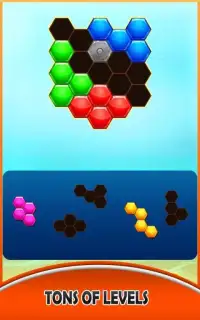 Hexa Puzzle Block Game :Fun Offline Games 2020 Screen Shot 1