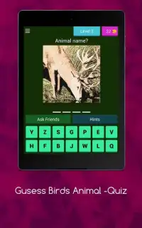 Birds Animal Quiz - Guess the Birds Animal Game Screen Shot 8