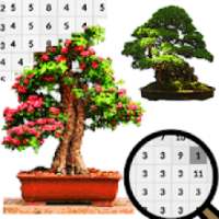 Bonsai Color By Number- decorative plants PixelArt