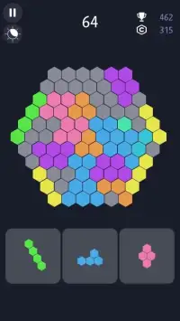 Hex 101! Hexagonal Block Puzzle Game Screen Shot 10