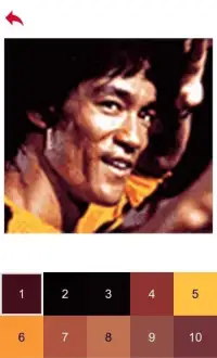 Bruce Lee Color by Number - Pixel Art Game Screen Shot 0