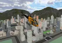 Pro Helicopter Simulator Screen Shot 1