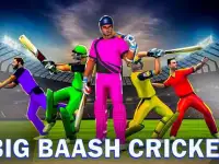 सीडब्ल्यूसी 2020; असली क्रिकेट खेल Screen Shot 25