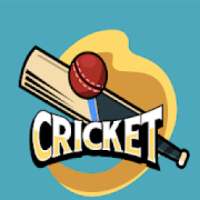 Box Cricket 2D : Cricket Game