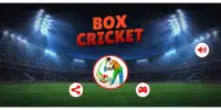 Box Cricket 2D : Cricket Game Screen Shot 5