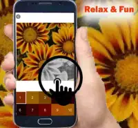 Gazania Flowers Color By Number-Pixel Art Screen Shot 2