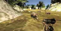 Wild Animals Hunter Sniper Shooting Missions Screen Shot 1