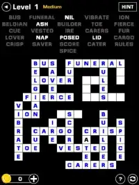 Word Fit Puzzles Screen Shot 1