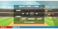 Box Cricket 2D : Cricket Game Screen Shot 3