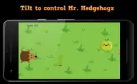Hedgehogs Screen Shot 2