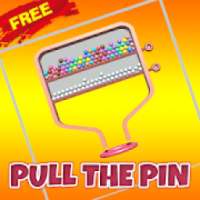 Pull The Pin Brain Game