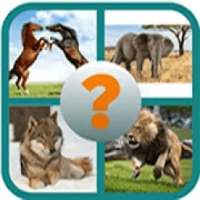 A picture puzzle game : animals 2020