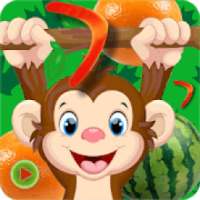 Monkey Master Jungle Run Adventures Collect Fruits