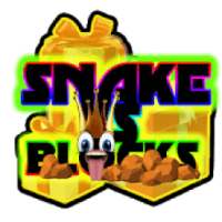 * Snake Big Crash Blocks - Cool Math Game *