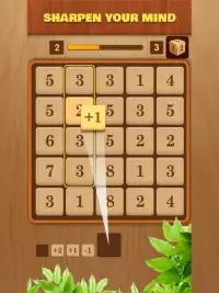 NumBlock: Merge Number Puzzle Screen Shot 0