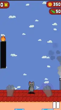 Cats Can Fly! Screen Shot 2