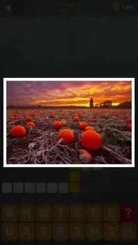 150 Photo Crosswords Screen Shot 1