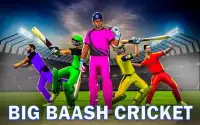 सीडब्ल्यूसी 2020; असली क्रिकेट खेल Screen Shot 20