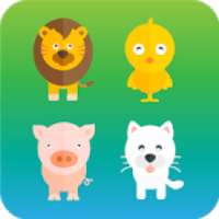 learn and play with animals