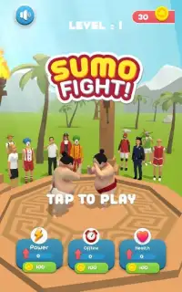 Sumo fight Screen Shot 5