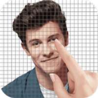 Shawn Mendes Color by Number - Pixel Art Game
