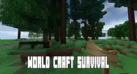 World Craft : Crafting and Building Simulator Screen Shot 2