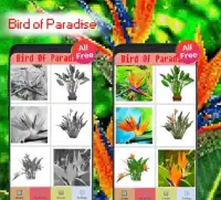 Bird Of Paradise Flowers Color By Number-Pixel Art Screen Shot 3