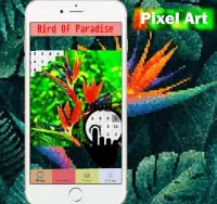 Bird Of Paradise Flowers Color By Number-Pixel Art Screen Shot 4